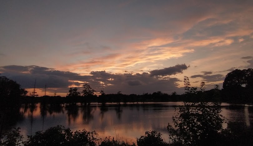 jacksonville little rock